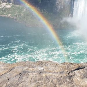 Meet your Posher, Viki